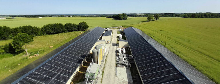 Mahieux, La Bouteille (02)