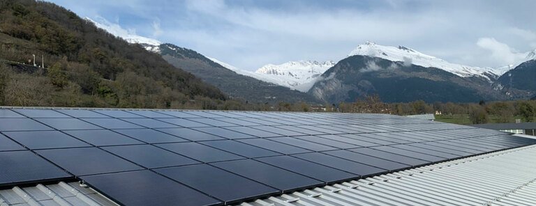 reference freewood factory